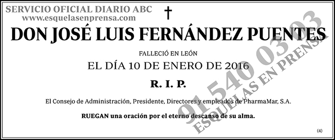 José Luis Fernández Puentes